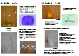 みゃうか / 夢見る樹・星に願いを